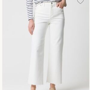 NWT J.Crew Antique White Women’s Tall wide-leg jean in all-day stretch SZ 35 /20